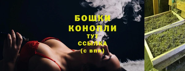 spice Пестово