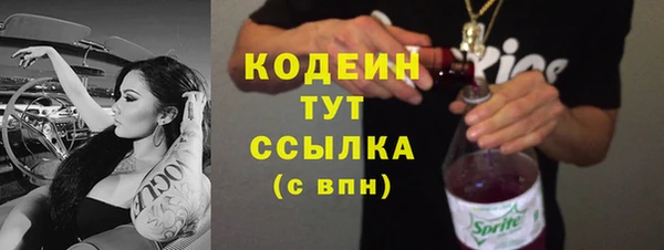 индика Переславль-Залесский