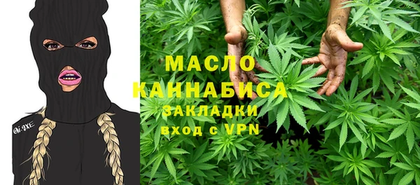 индика Переславль-Залесский