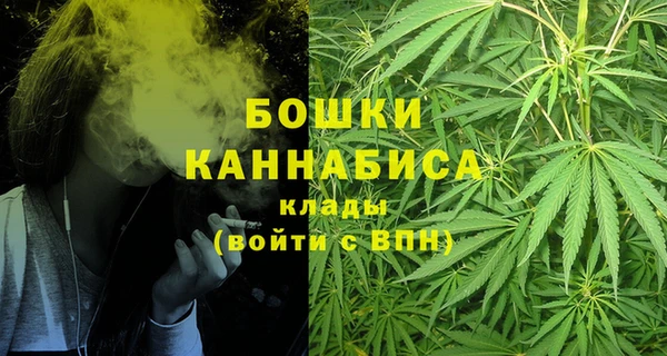 индика Переславль-Залесский