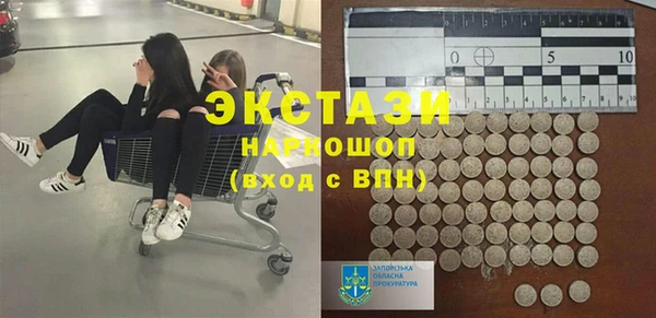 индика Переславль-Залесский