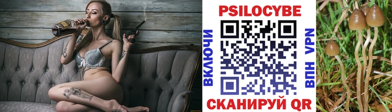 Купить закладки  Салават  Галлюциногенные грибы GOLDEN TEACHER 